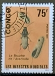 Sellos de Africa - Rep�blica del Congo -  Insectos - Escarabajo