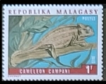 Sellos de Africa - Madagascar -  Cameleo campani