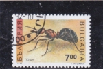 Stamps Bulgaria -  hormiga