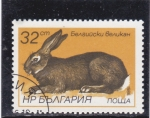 Stamps Bulgaria -  conejo