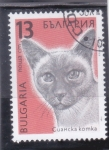 Stamps Bulgaria -  gato