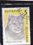 Stamps Bulgaria -  gato