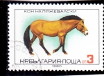 Stamps Bulgaria -  CABALLO