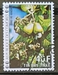 Stamps : Africa : Comoros :  Caju