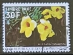 Stamps Comoros -  Flores - Allamanda cathartica)