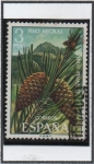 Stamps Spain -  Pino Negral