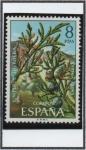 Sellos de Europa - Espaa -  Sabina Ámbar