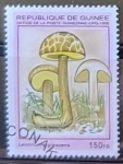Stamps Guinea -  Setas - Leccinum nigrescens