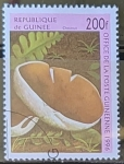 Sellos de Africa - Guinea -  Setas - Chestnut 