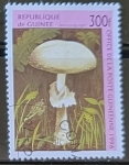 Stamps Guinea -  Setas - Destroying Angel 