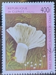 Stamps Guinea -  Setas - Milky Blue