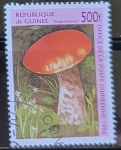 Stamps : Africa : Guinea :  Setas - Rough-stemmed 