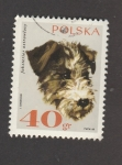 Stamps : Europe : Poland :  Perro raza foxterrier