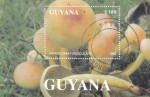 Sellos de America - Guyana -  SETAS