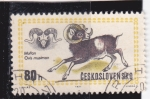 Stamps Czechoslovakia -  Muflon