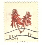 Stamps : Africa : South_Africa :  flor