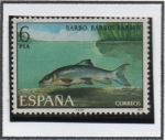Sellos de Europa - Espaa -  Fauna Hispánica: Barbo
