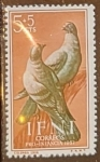 Stamps Morocco -  Columba livia
