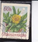 Stamps Czechoslovakia -  FLORES