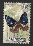 Sellos de Asia - Malasia -  66 - Mariposa