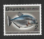 Stamps Guyana -  69 - Piraña