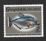 Stamps : America : Guyana :  69 - Piraña