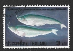 Stamps Thailand -  851 - Apogon de Kryptopterus