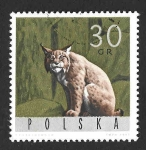 Stamps Poland -  1370 - Lince