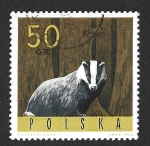 Stamps Poland -  1372 - Tejón