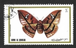 Stamps United Arab Emirates -  Mi624A - Polilla (UMM-AL-QIWAIN)