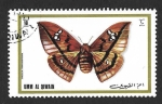 Sellos de Asia - Emiratos rabes Unidos -  Mi624A - Polilla (UMM-AL-QIWAIN)