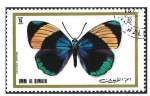 Stamps United Arab Emirates -  Mi625A - Mariposa (UMM-AL-QIWAIN)