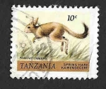 Sellos de Africa - Tanzania -  161 - Liebre Saltadora del Cabo