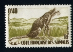 Stamps Africa - Somalia -  Guepardo