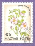 Stamps Hungary -  INTERCAMBIO