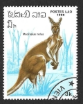 Stamps Asia - Laos -  710 - Canguro Rojo