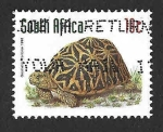 Sellos de Africa - Sud�frica -  1022 - Tortuga Geométrica