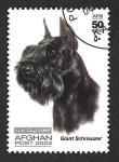 Stamps Afghanistan -  1403 - Schnauzer Gigante 