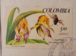 Stamps : America : Colombia :  Catasetum Macrocarpum - 1a Exposición Nacional de Orquídeas-Medellín Abril 1967.