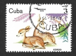 Sellos de America - Cuba -  2293 - Corzo