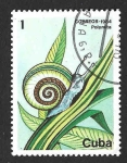 Sellos de America - Cuba -  2735 - Caracol