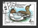Stamps Hungary -  3138 - Silbón Europeo