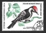 Stamps Europe - Russia -  4777 - Pico Menor