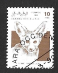 Stamps Spain -  (C) - Zorro del Desierto