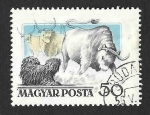 Stamps Hungary -  1149 - Perros Húngaros