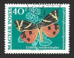 Stamps Hungary -  1966 - Calimorfa