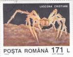 Stamps Romania -  Aräcnido