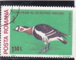 Stamps Romania -  Ganso Pecho Rojo (Branta ruficollis)