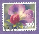 Stamps Switzerland -  RESERVADO RAFAEL ALONSO