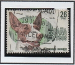 Stamps Spain -  Perros d' Raza Española: Podenco Ibicenco